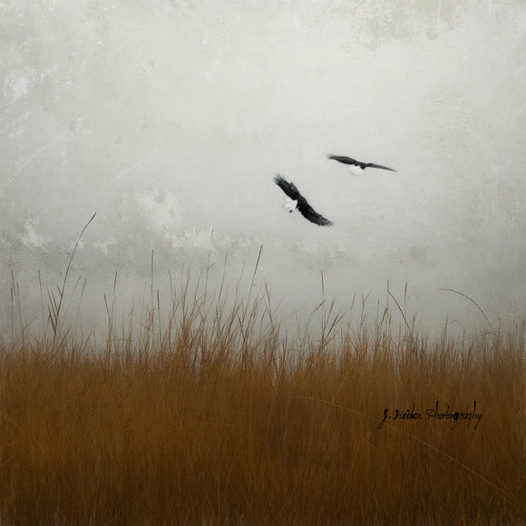 But First I'll Make You Strong by Jamie Heiden