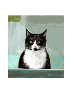 Can I Come In? Cat Print by Jamie Shelman