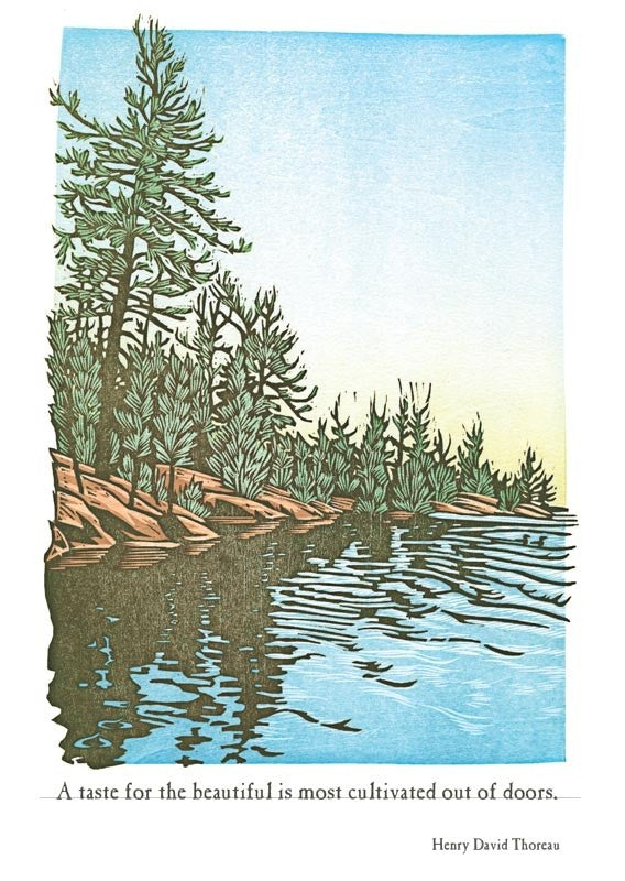 Pine Trees Stretch Blank Card from Artists to Watch