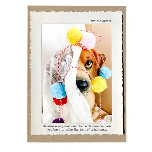 Dog Curtains Greeting Card by Jamie Redmond