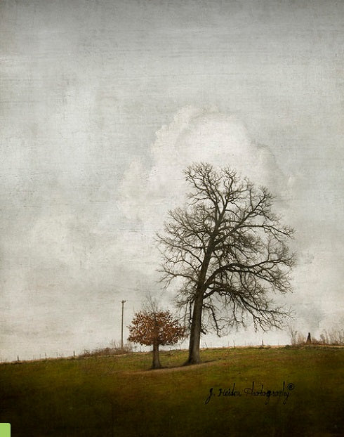 Everything In Time by Jamie Heiden