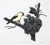 Finch Family Woodcut Print by Cary Cochrane