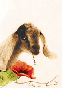 Goat Blank Card from Artists to Watch
