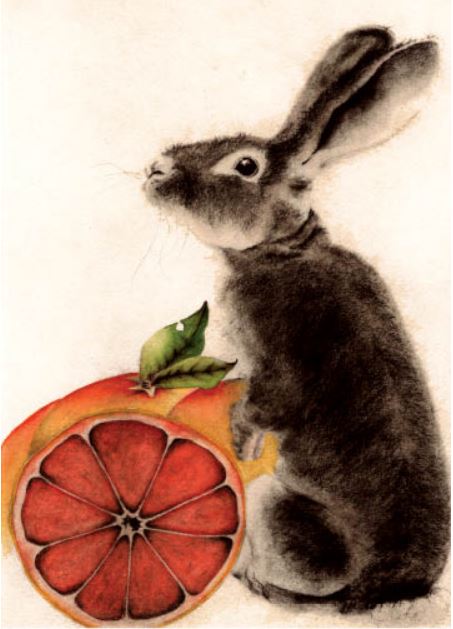Rabbit with Orange Birthday Card from Artists to Watch