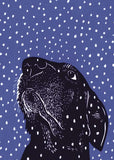 Snow and Whiskers Greeting Card by Artists to Watch