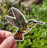 Hummingbird Sticker by Sarah Angst