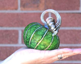 Green Meadows Pumpkins and Gourds by Corey Silverman