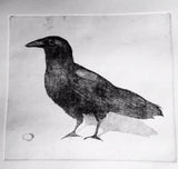 Crow With Corn Hand-Painted Etching by Cary Cochrane