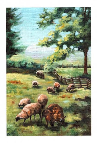 Sheep in the Meadow Greeting Card by Liz Quebe