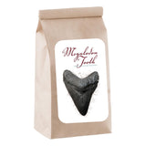 Megalodon Tooth Graphite Drawing Instrument by Zen Stone Garden