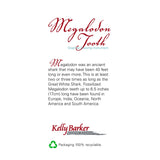 Megalodon Tooth Graphite Drawing Instrument by Zen Stone Garden