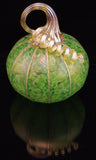 Green Meadows Pumpkins and Gourds by Corey Silverman