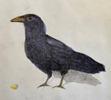 Crow With Corn Hand-Painted Etching by Cary Cochrane