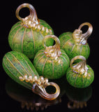 Green Meadows Pumpkins and Gourds by Corey Silverman