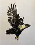 Hawk Hand-Painted Woodcut Print by Cary Cochrane
