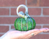 Green Meadows Pumpkins and Gourds by Corey Silverman