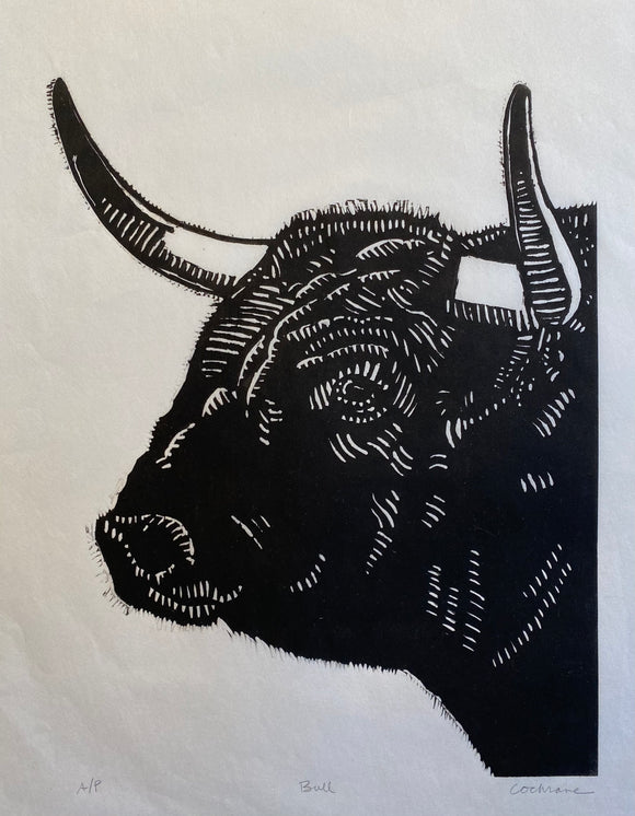 Bull Woodcut Print by Cary Cochrane