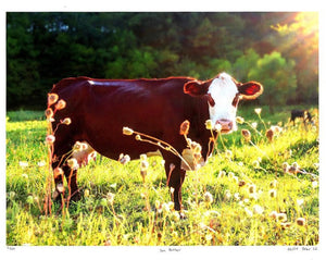 Sun Bather Photo Print by Hallie Bear