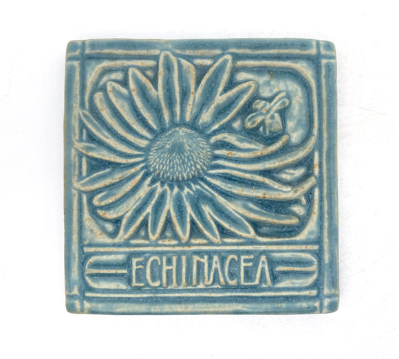 Echinacea 4