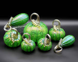 Green Meadows Pumpkins and Gourds by Corey Silverman