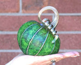 Green Meadows Pumpkins and Gourds by Corey Silverman