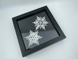 Preserved Snowflakes by Abby Schrup