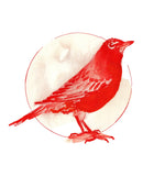 Red Robin Print by Cat Rocketship