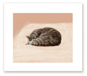 Kiki Cat Nap Print by Jamie Shelman