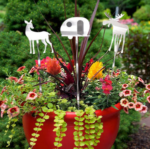 Campy Garden Picks by Sondra Gerber