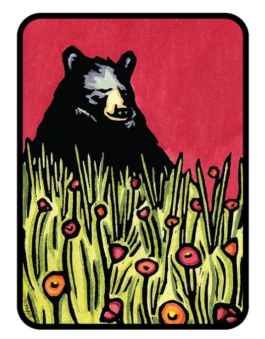 Bear Sticker by Sarah Angst