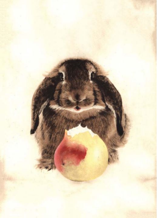 Rabbit with Pear Blank Card from Artists to Watch