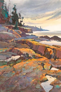 Rugged Shore Print by Dan Wiemer