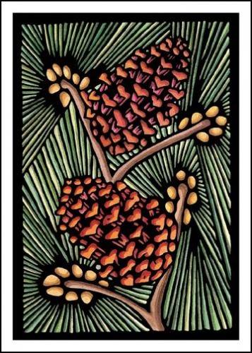 Pine Cones Greeting Card by Sarah Angst