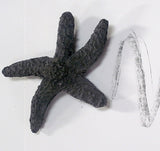 Sea Star Graphite Drawing Instrument by Zen Stone Garden
