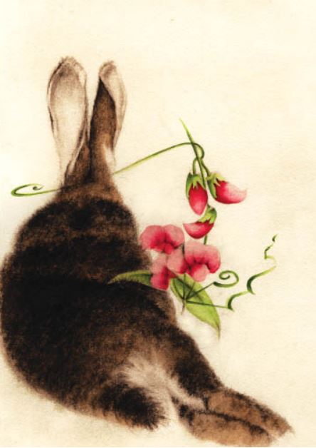 Rabbit with Sweet Pea Blank Card from Artists to Watch – Outside the ...