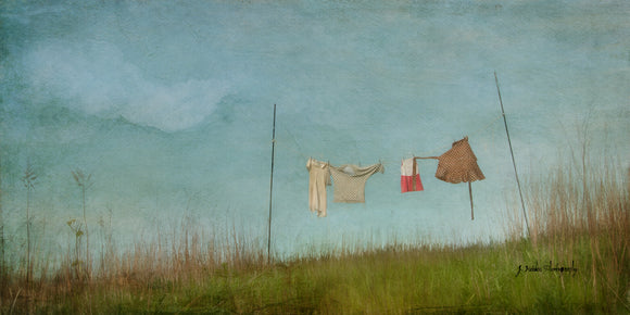 The Dotted Line by Jamie Heiden