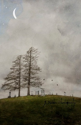 The Ones That Love Us by Jamie Heiden