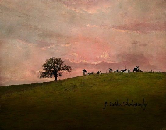 We Live In Each Other's Pockets by Jamie Heiden
