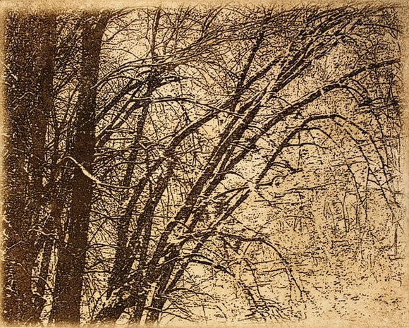 Winter Branches 4/25 by Nancy Lindsay