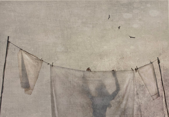 You Will Catch the Spiders by Jamie Heiden